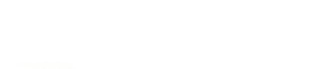 IDRHOKI logo